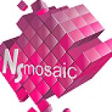 NSmosaic