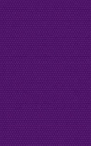 Диамант фиолетовый 25х40