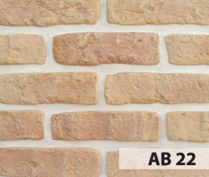 Anticbrick AB22 21x6