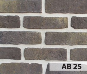 Anticbrick AB25 21x6