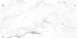Carrara Blanco Liso (905541)