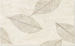 Sakura Декор Folio