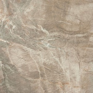 Fossil brown naturale 50x50