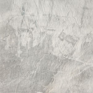 Fossil light grey naturale 50x50