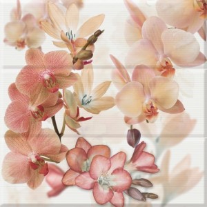 Aure Панно Orchides marron (из 3-х плиток)