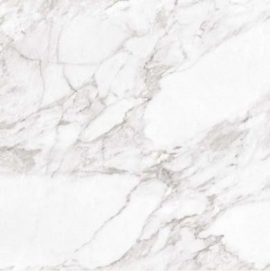 Carrara White Shine 60x60