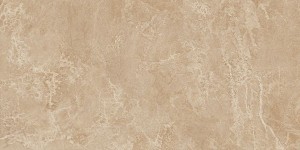 Force Beige Matt 60x120