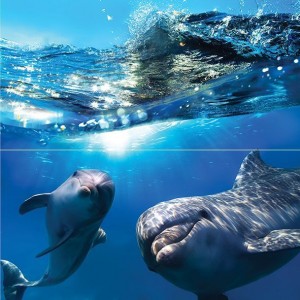 Dolphins панно (стекло) 50x50