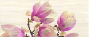 Ceramika Color Sensa Magnolia Bis