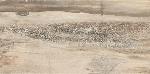 Emil Ceramica Petrified Tree Core Beige Tiger Lapp 44,4x89