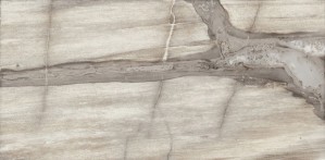 Emil Ceramica Petrified Tree Core Grey Panther Lapp 44,4x89