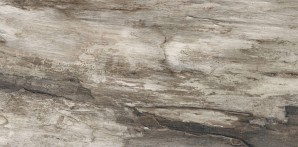 Emil Ceramica Petrified Tree Grey Bark Rett 45x90