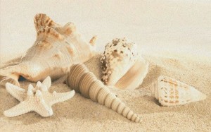 Gracia Ceramica Amalfi Sand Decor 01