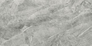 Marble Experience Orobico Grey Sq. 120x60