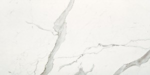 Marble Experience Statuario Lux Sq. 120x60