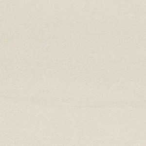 Sands Experience White 120x120 Flat 6 mm