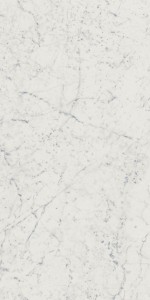 Charme Extra Floor Project Carrara Натуральная 60х120