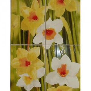 Nice Narcis C-4 50x66,6