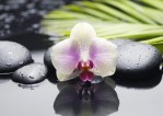 Азалия Декор Орхидея 2
